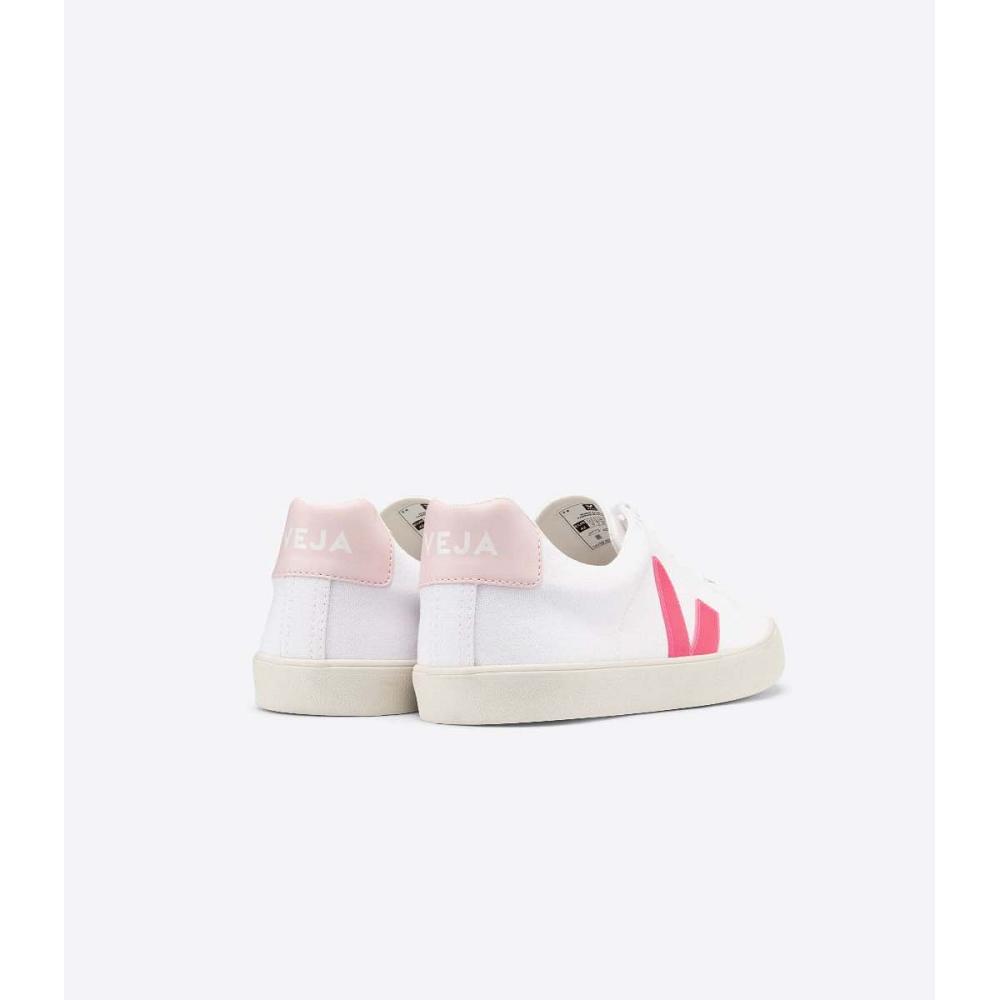 Veja ESPLAR SE CANVAS Women's Sneakers White/Pink | NZ 608EBC